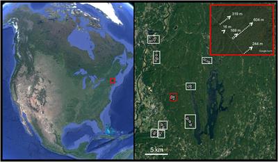 Sampling the understory, midstory, and canopy is necessary to fully characterize native bee communities of temperate forests and their dynamic environmental relationships